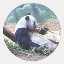 autocollant de panda