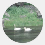 Autocollant d'oiseau de cygnes