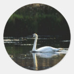 Autocollant d'oiseau de cygnes