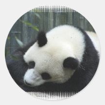 Autocollant d'ours panda