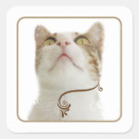 Autocollant floral blanc de carré de chat