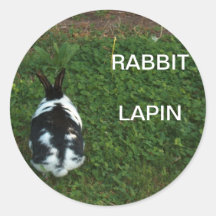 Autocollant/Lapin