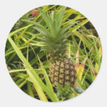 Autocollants de bébés d'ananas