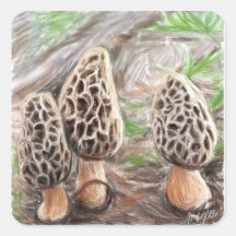 Autocollants de champignon de morelle