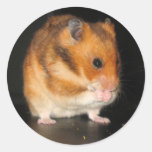 Autocollants de hamster