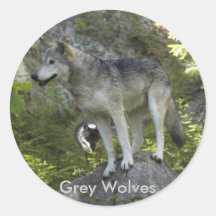 Autocollants de LOUPS de MONTAGNE ROCHEUSE