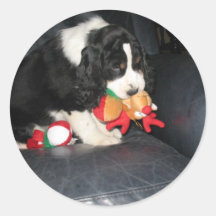 Autocollants de MAS du chiot X de Springer