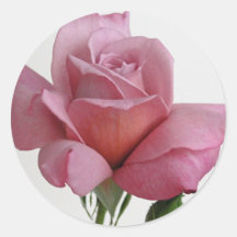 Autocollants de rose de mauve