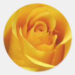 Autocollants de rose jaune et joints d'enveloppe
