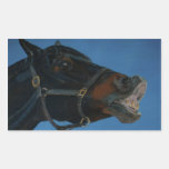 Autocollants drôles de cheval de visage