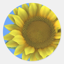 Autocollants floraux peints de tournesol