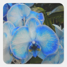 Autocollants mystiques bleus de l'orchidée II