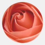 Autocollants roses de joint d'enveloppe de pêche