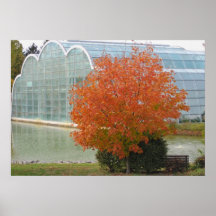 Automne à la Chambre de papillon Poster