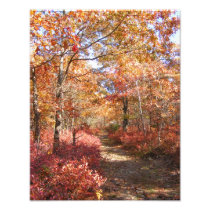 Automne en photo de ~ de la Nouvelle Angleterre 27