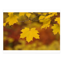 Automne inspiré cartes postales