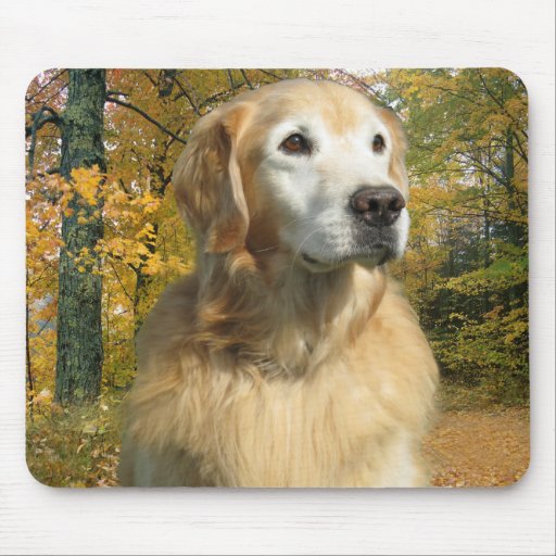 Automne Mousepad de golden retriever Tapis De Souris