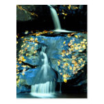 Automnes d'automne, parc national de montagne fume carte postale