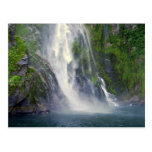 Automnes de Stirling, Milford Sound, carte postale