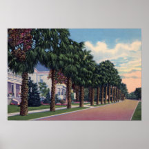 Avenue de la Nouvelle-Orléans Louisiane St Charles Affiche