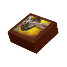 Avion - pilote - appui vertical - guêpe jumelle coffret cadeau