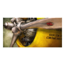 Avion - pilote - appui vertical - guêpe jumelle photocartes