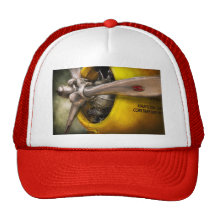 Avion - pilote - appui vertical - guêpe jumelle casquette de camionneur