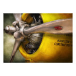 Avion - pilote - appui vertical - guêpe jumelle bristols