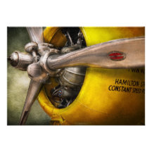 Avion - pilote - appui vertical - guêpe jumelle bristols