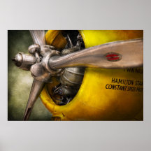 Avion - pilote - appui vertical - guêpe jumelle posters