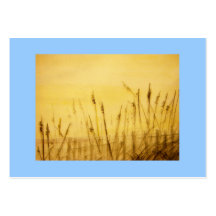 avoine de mer cartes de visite personnelles