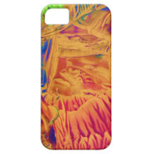 Azteekse Tempel iPhone 5 Cases