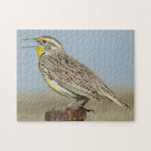 B0006 Meadowlark occidental Puzzles