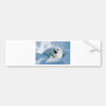 baby verbinding bumpersticker
