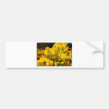 Backlit Geel nam toe Bumpersticker