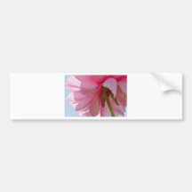 Backlit Schoonheid Bumpersticker