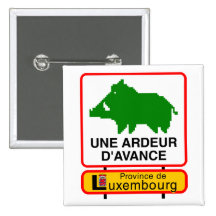 Badge - Province de Luxembourg UNE ARDEUR D'AVANCE
