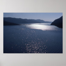 Baie arctique affiches