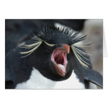 Bâillement de Rockhopper Cartes De Vœux