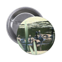 Bain de famille d'oie badges