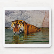 bain de tigre tapis de souris