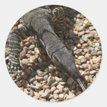 Baiser de Goanna Autocollants Ronds