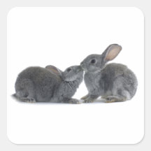 Baiser de lapin autocollants