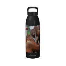 Baisers animaux de forêt tropicale bouteille