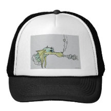 baisers de dragon casquettes