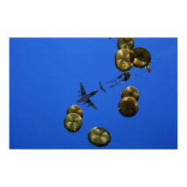 Baisse d'air posters