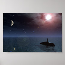 Baleine Affiches