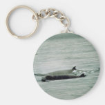 Baleine de bottlenose du nord porte-clefs