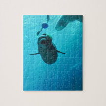 Baleines de beluga puzzles avec photo