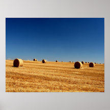Balles de foin affiche